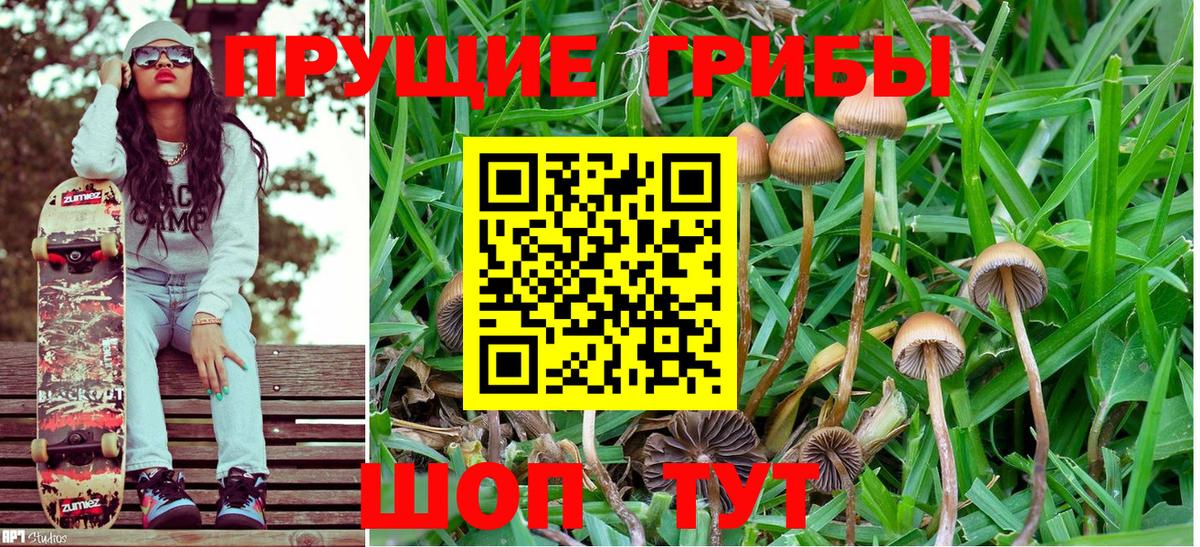Екатеринбург  Псилоцибиновые грибы Magic Shrooms  Вход с VPN  Псилоцибиновые грибы ЛСД 